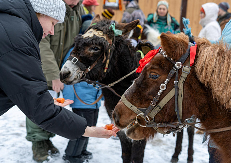  Домик с баней рис.14