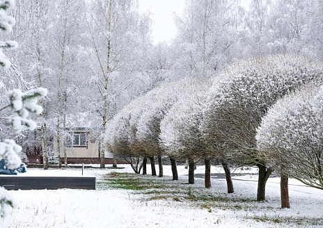  Бунгало стандарт с 2 односпальными и 1 двуспальной кроватью рис.1