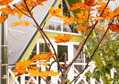  Оливковый Дом рис.18