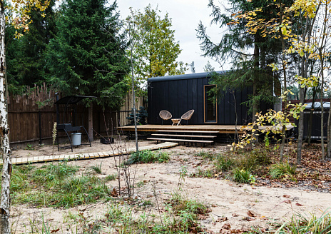 Фото - Ежевика рис.1  Ежевика рис.1