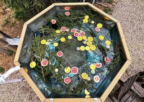  Этнодом в современном русском стиле рис.23