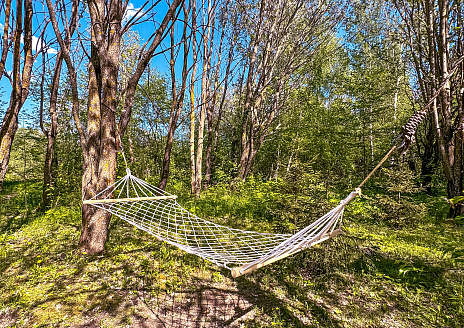  Белый Дом рис.19