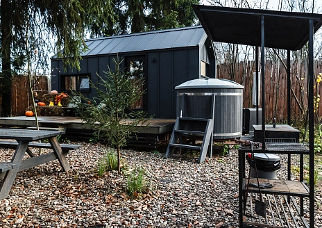  Черника рис.18