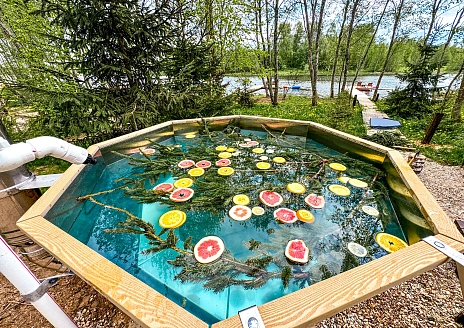  Этнодом в современном русском стиле рис.24