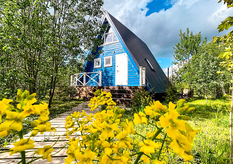  Синий Дом рис.16