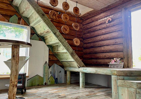  Совы рис.2