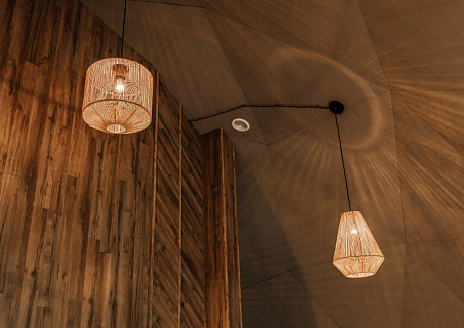  Купольный дом Premium с видом на лес рис.9