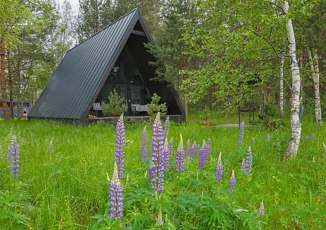  A-Frame № 15 с камином, кондиционером и террасой рис.36