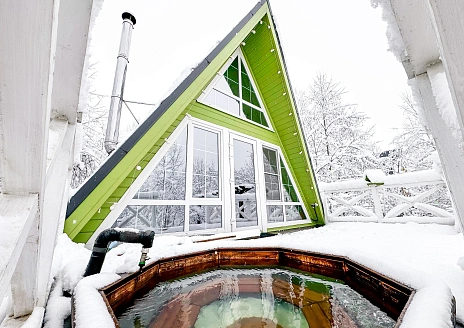  Оливковый Дом рис.1