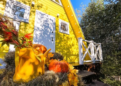  Желтый А дом рис.15