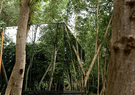  Первый дом рис.1