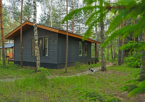 BarnHouse №12 рис.24