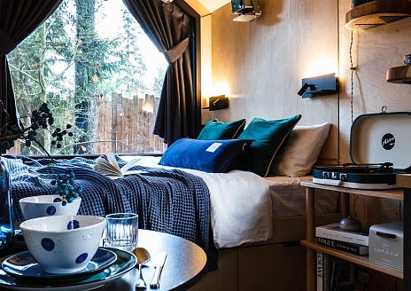  Черника рис.8