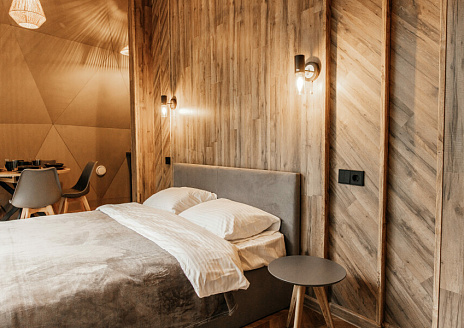  Купольный дом Premium с видом на лес рис.6