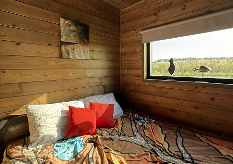  Липовый свет рис.2