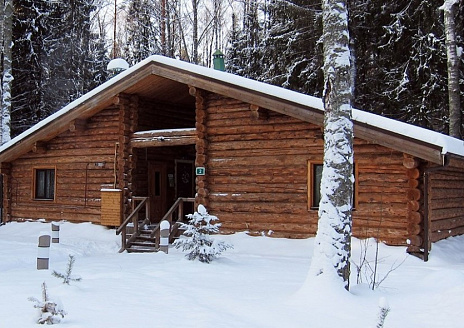 Фото - Коттедж Стандарт с 1 кроватью рис.8  Коттедж Стандарт с 1 кроватью рис.8