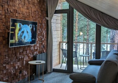  Номер в большом панорамном барнхаусе (2 этаж) для 2-4 гостей рис.2