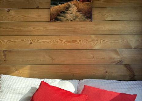  Липовый свет рис.11