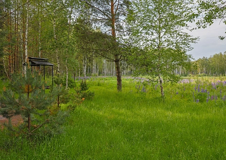  A-Frame № 15 с камином, кондиционером и террасой рис.38
