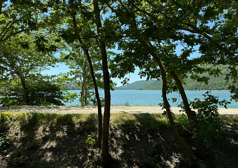  Сафари-тент №5 рис.2