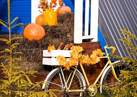  Синий Дом рис.14