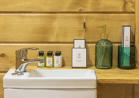  Дилижанс Цыганский барон рис.5