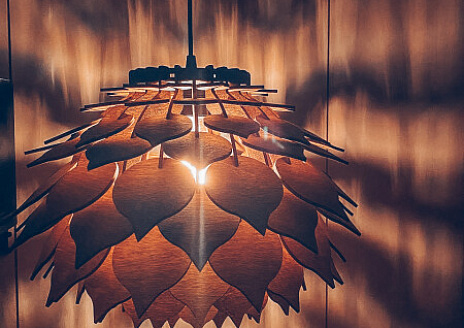  Шишка рис.12