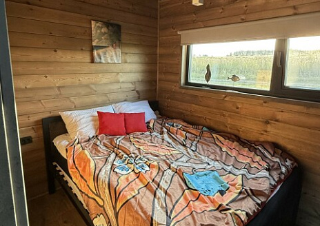  Липовый свет рис.10