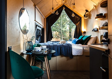  Черника рис.3