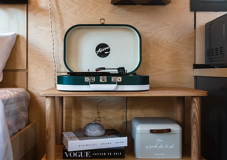  Черника рис.9