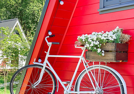  Красный Дом рис.19