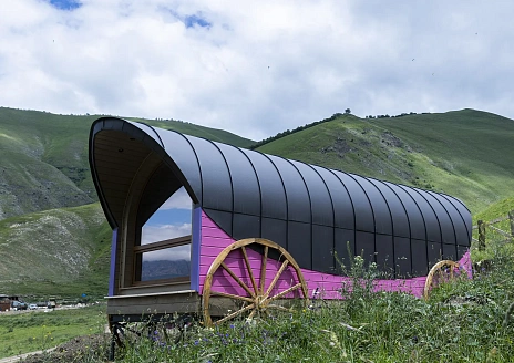  Дилижанс Раджа рис.9