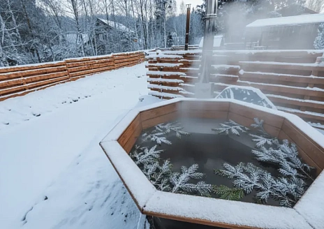  Barnhouse 1 с купелью рис.2