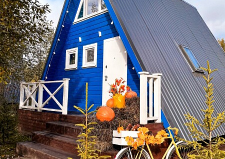  Синий Дом рис.3