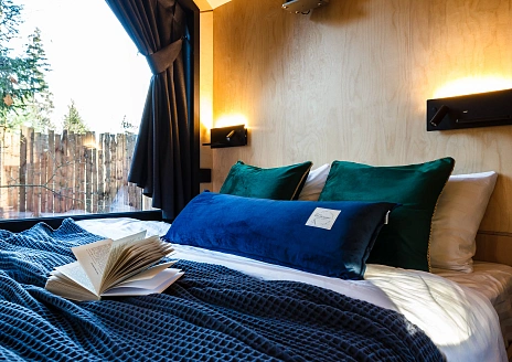  Черника рис.6