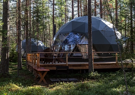  Сфера лесная рис.1