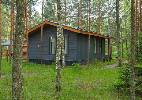  BarnHouse №12 рис.16