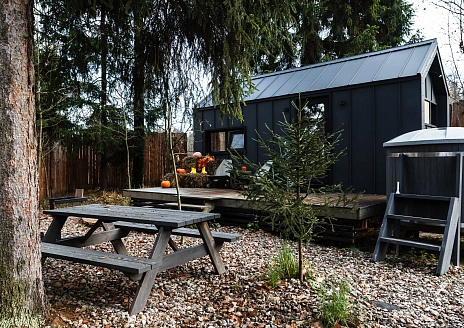  Черника рис.1