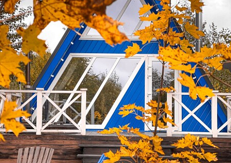  Синий Дом рис.1