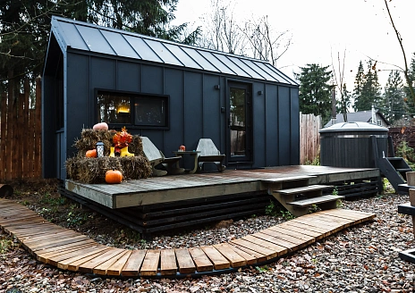  Черника рис.2