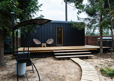 Фото - Ежевика рис.14  Ежевика рис.14