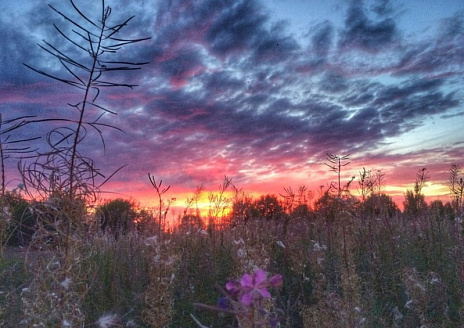  Кувакса Family Trip рис.4