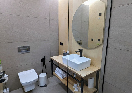  Большой панорамный барнхаус №21 рис.6