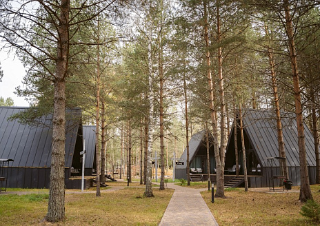  ANDROMEDA  рис.10