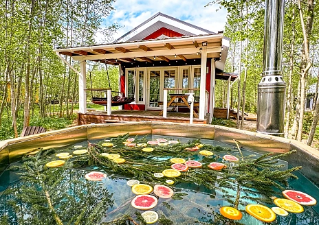  Этнодом в современном русском стиле рис.1