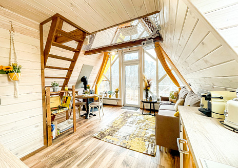  Желтый А дом рис.11