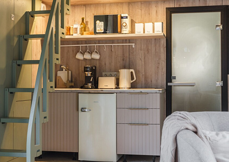  Эвкалипт рис.8