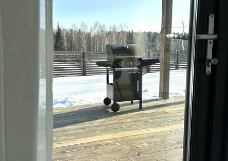  Янтарь рис.9