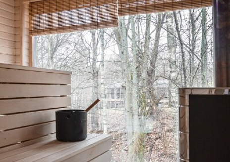  Эвкалипт рис.9