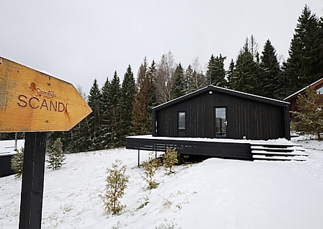  Сканди рис.1